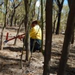 Easy application of BHA herbicide capsules directly into treet trunk